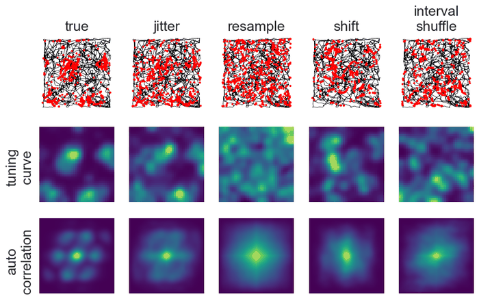 Null distributions to test spatial firing