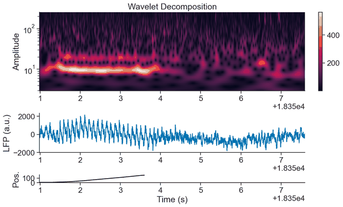 Wavelet Transform