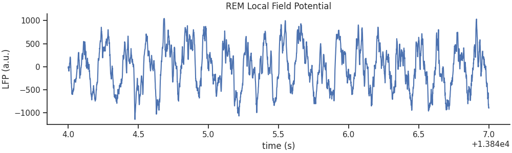 REM Local Field Potential