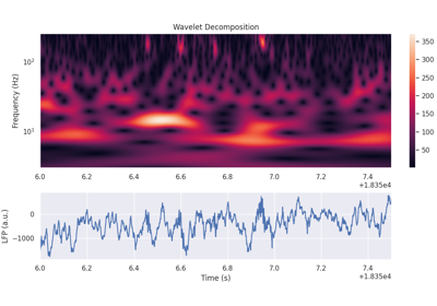 Wavelet Transform